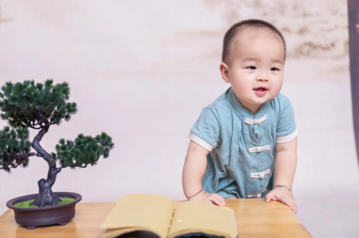 宜阳可爱的企鹅宝宝